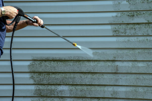 Best Residential Pressure Washing Services  in Lake Of The Woods, IL